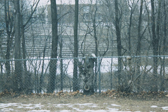 032_32.jpg