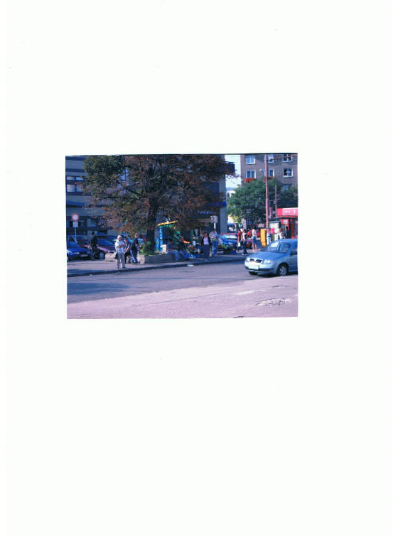 dwtnb001.jpg.jpg